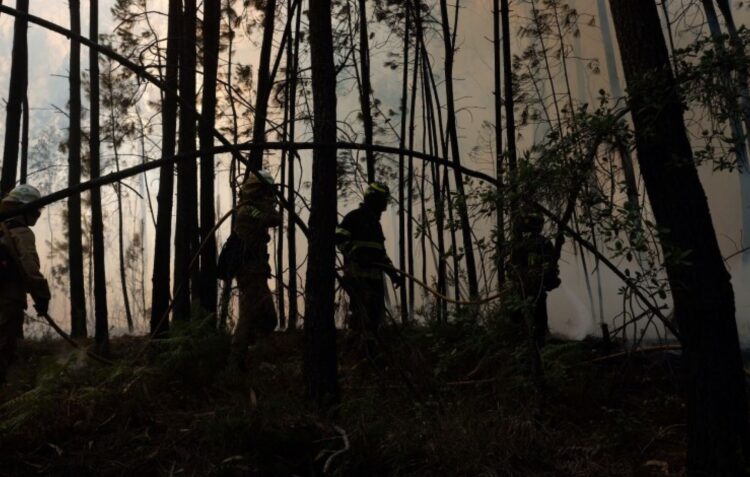 Fogo em Carnide combatido por 145 bombeiros e 4 meios aéreos e A1 pode ser cortada