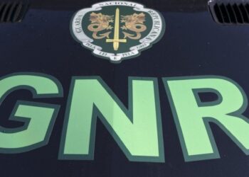 Homem com antecedentes criminais detido por furto a residência em São Martinho do Porto