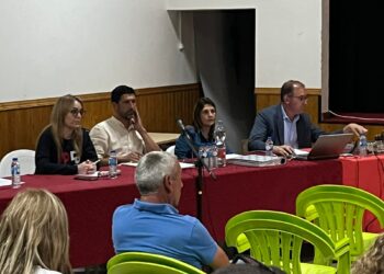 Guia, Ilha e Mata Mourisca escolhem união ou divórcio