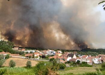 Fogo lavra na Boa Vista e obriga ao corte da A1