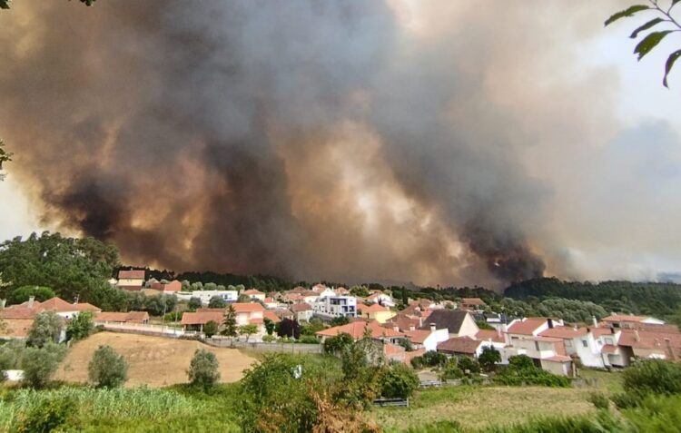 Fogo lavra na Boa Vista e obriga ao corte da A1