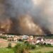 Fogo lavra na Boa Vista e obriga ao corte da A1