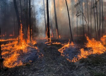 Situação volta a complicar-se no incêndio em Ourém