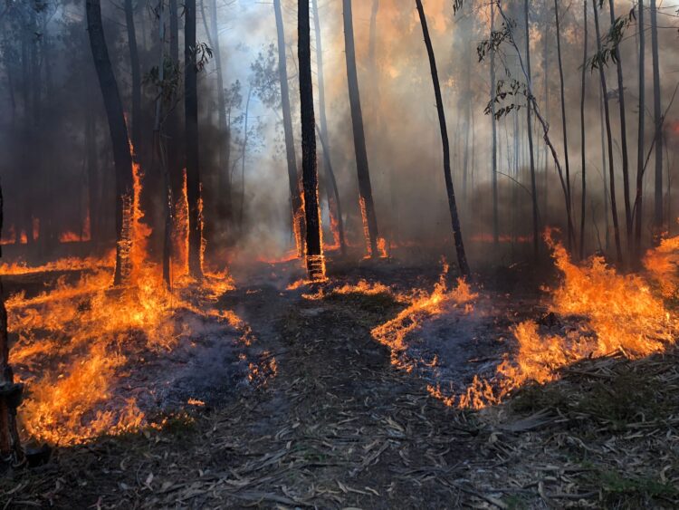 Situação volta a complicar-se no incêndio em Ourém