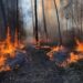 Situação volta a complicar-se no incêndio em Ourém
