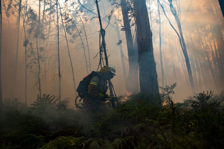 Incêndios de Pombal e Ourém ainda activos, Maceira em vigilância