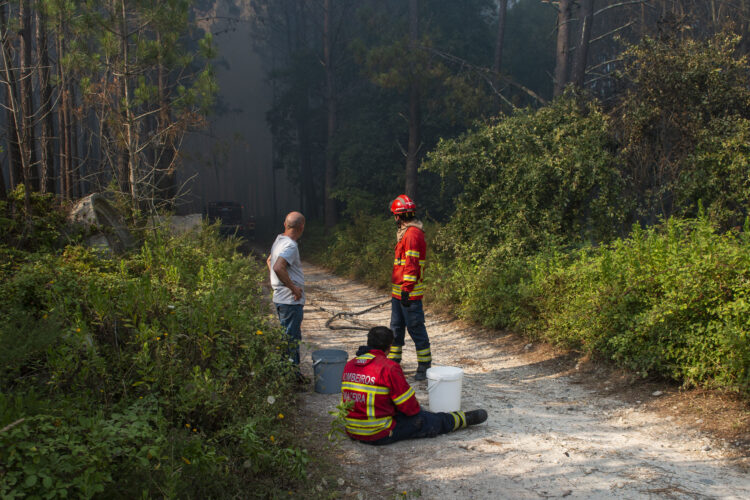 População mobiliza-se para ajudar os bombeiros. Saiba como contribuir