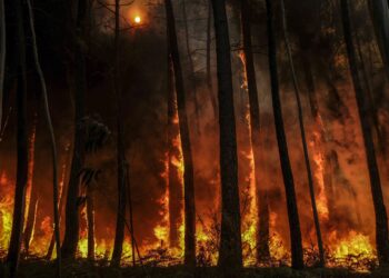 Alguns habitantes retirados “por precaução” de aldeia do concelho de Ansião