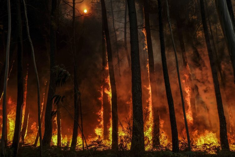 Alguns habitantes retirados “por precaução” de aldeia do concelho de Ansião