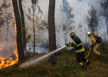 Apesar do vento, Pombal concentra esforços em Abiul, na Redinha e Vermoil para dominar fogos