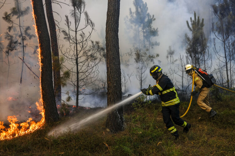 Apesar do vento, Pombal concentra esforços em Abiul, na Redinha e Vermoil para dominar fogos