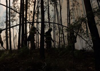 Fogo ameaçou casas em Alvaiázere 