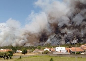 Incêndios activos na região mobilizam quase 600 bombeiros