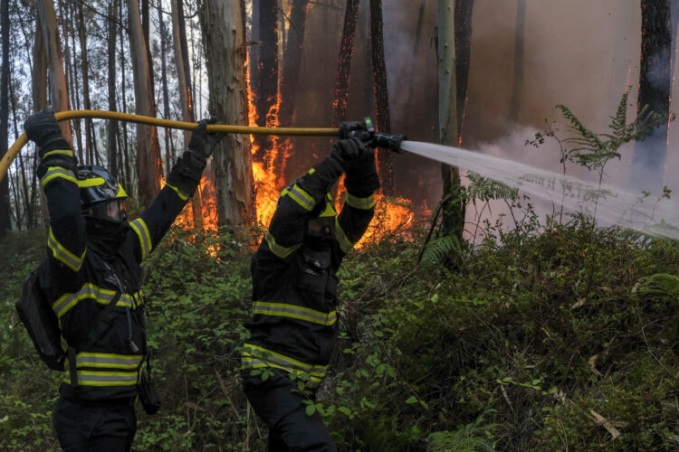 Fogo dominado em Leiria, chamas lavram em Pombal