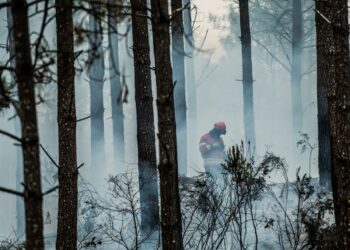 Incêndios de Pombal e Ourém queimaram mais de 3500 hectares