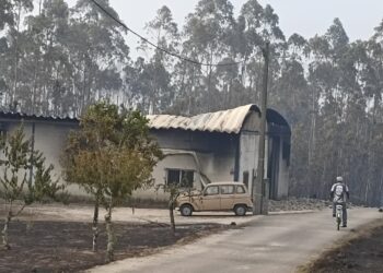 Incêndios terão consumido cerca de 3.000 hectares em Ourém