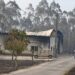 Incêndios terão consumido cerca de 3.000 hectares em Ourém