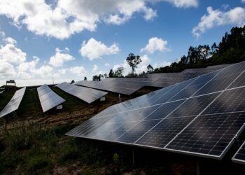 População do Juncal contesta criação de central solar com 20 mil painéis