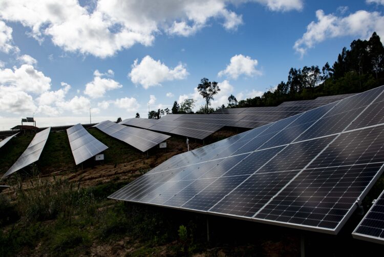 População do Juncal contesta criação de central solar com 20 mil painéis