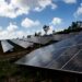 População do Juncal contesta criação de central solar com 20 mil painéis