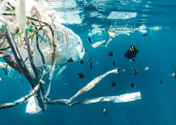 TransforMAR cria na Nazaré uma escultura com plástico e redes recolhidas no mar