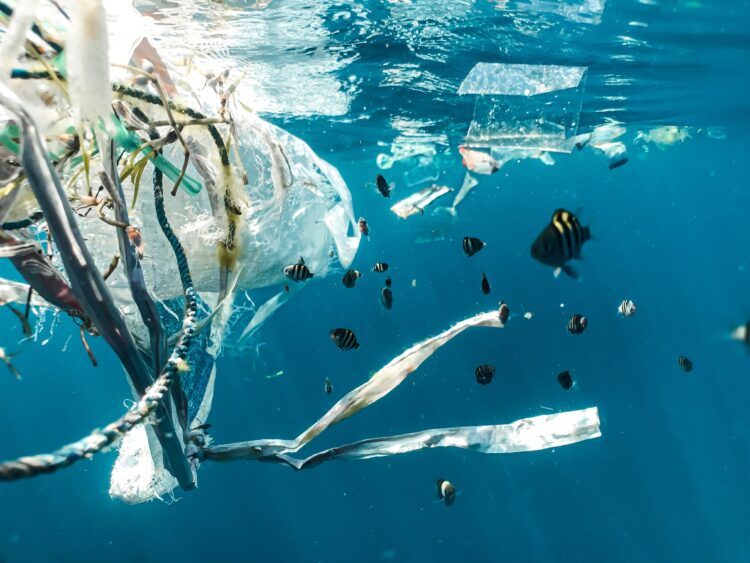 TransforMAR cria na Nazaré uma escultura com plástico e redes recolhidas no mar