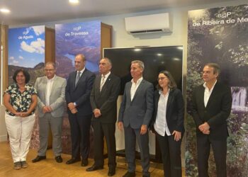 Pinhal Interior aposta em Áreas de Gestão da Paisagem para defesa da floresta