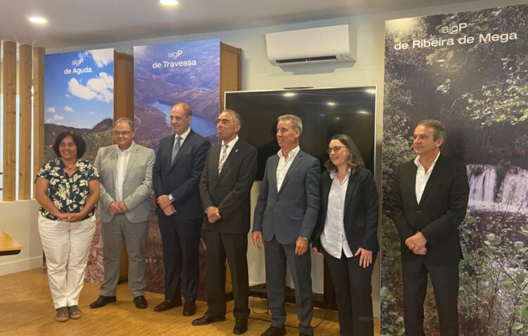 Pinhal Interior aposta em Áreas de Gestão da Paisagem para defesa da floresta