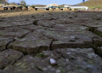 Queixa climática de jovens de Leiria sobe à cúpula do Tribunal Europeu dos Direitos Humanos