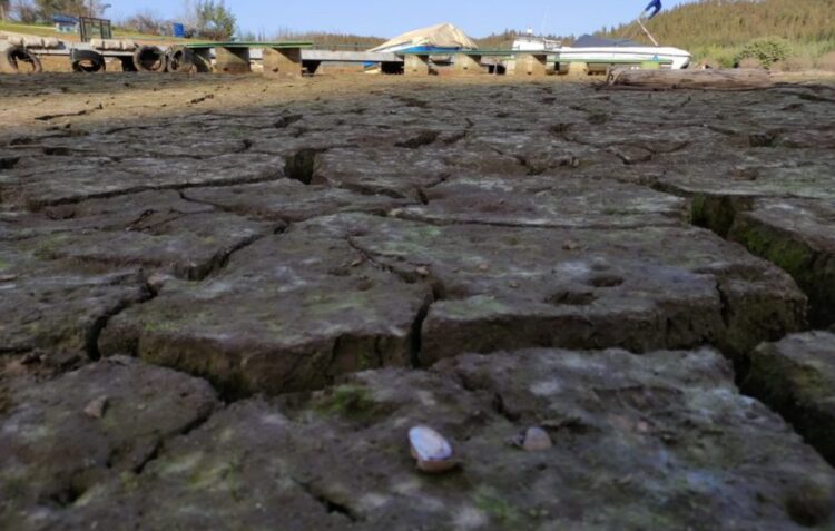 Queixa climática de jovens de Leiria sobe à cúpula do Tribunal Europeu dos Direitos Humanos