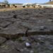 Queixa climática de jovens de Leiria sobe à cúpula do Tribunal Europeu dos Direitos Humanos