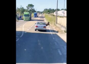 Vídeo mostra jovens ao volante, junto à Venda das Raparigas, em comportamento perigoso na estrada