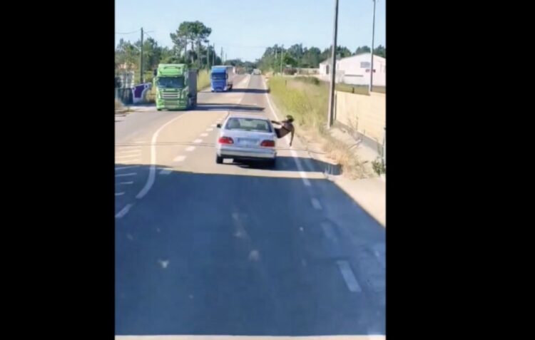 Vídeo mostra jovens ao volante, junto à Venda das Raparigas, em comportamento perigoso na estrada