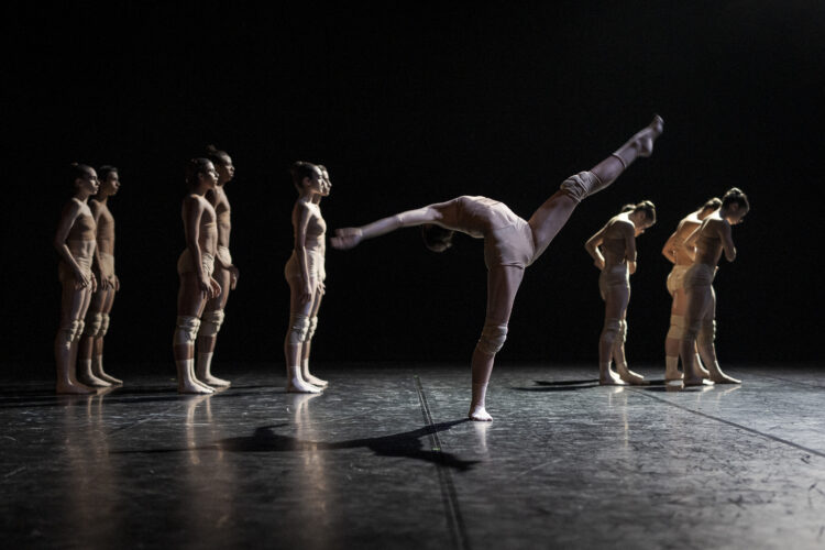 Programa Território mostra talento de 12 jovens bailarinos nacionais