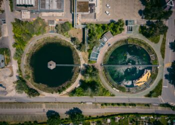 Tratar esgotos com algas é melhor para o ambiente e mais económico dizem investigadoras do Politécnico de Leiria