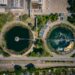 Tratar esgotos com algas é melhor para o ambiente e mais económico dizem investigadoras do Politécnico de Leiria