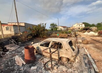 Incêndios: “Ardeu-me tudo. É triste”