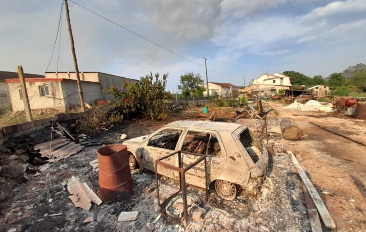 Incêndios: “Ardeu-me tudo. É triste”