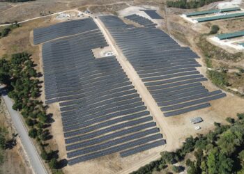 Lusiaves investe 10 milhões de euros em parque fotovoltaico em Soure