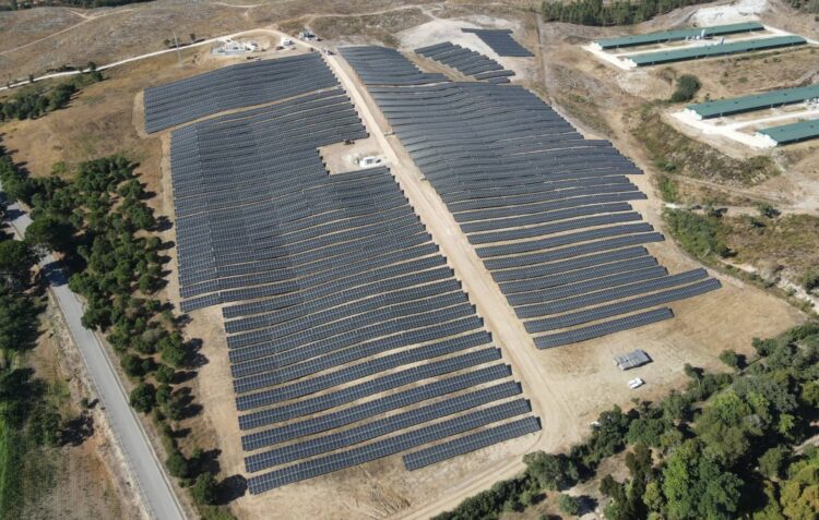 Lusiaves investe 10 milhões de euros em parque fotovoltaico em Soure