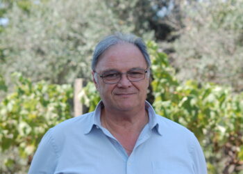 António Lopes: “Pedrógão Grande é o terceiro concelho do País mais procurado por estrangeiros”