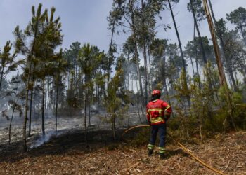 Fogo de Ourém entrou em fase de resolução