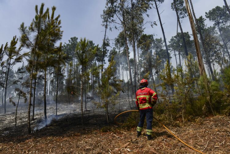 Fogo de Ourém entrou em fase de resolução