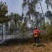 Fogo de Ourém entrou em fase de resolução