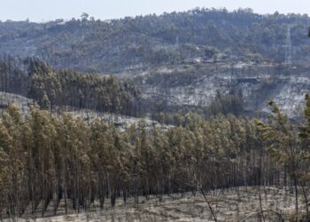 Incêndio em Ourém em fase de resolução