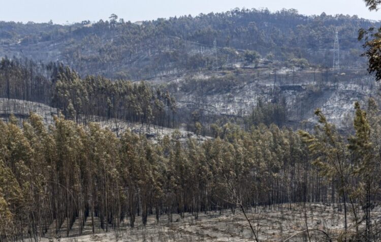 Incêndio em Ourém em fase de resolução