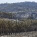 Incêndio em Ourém em fase de resolução