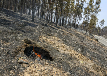 Fogo de Ourém em estado de resolução
