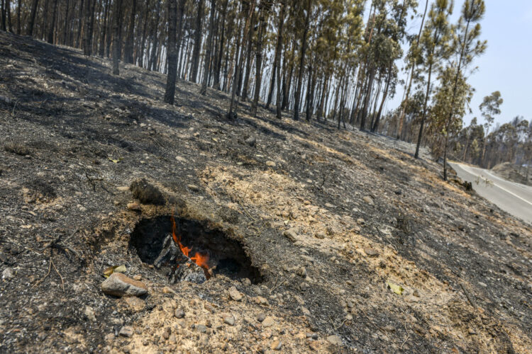 Fogo de Ourém em estado de resolução
