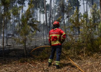 Dois fogos em Caldas da Rainha e um em Alcobaça combatidos por 225 operacionais e 8 meios aéreos
